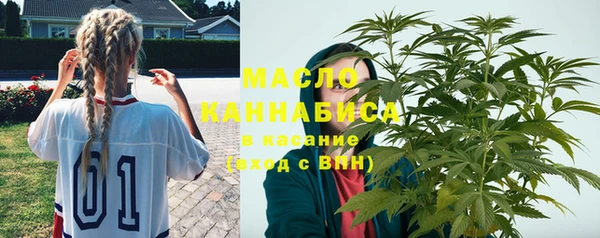 тгк Медногорск