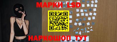 индика Гагарин