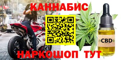 МДПВ Гатчина