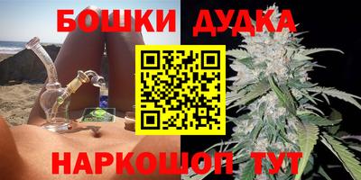 МДПВ Гатчина