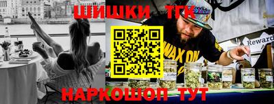индика Гагарин