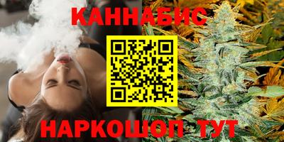 МДПВ Гатчина