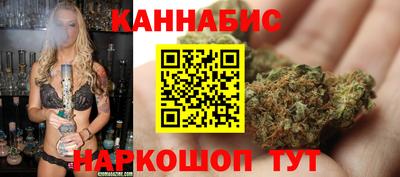 МДПВ Гатчина