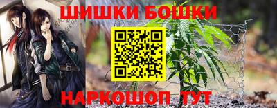 индика Гагарин