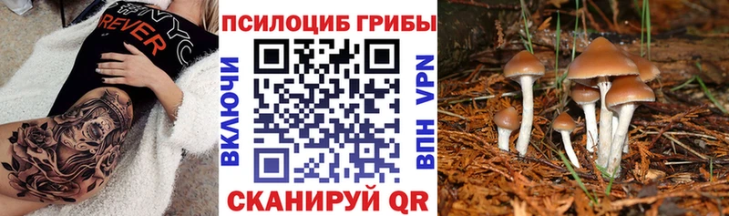 Галлюциногенные грибы мицелий  где продают наркотики  Сибай 